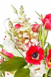 Similar image 2189393