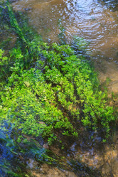 Similar image 2189397