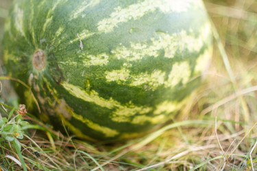 Similar image 2189409