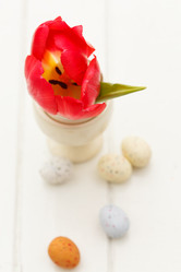 Similar image 2189422