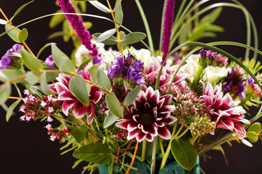 Similar image 2189436