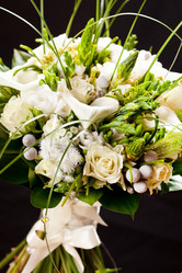 Similar image 2189438