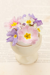 Similar image 2189444