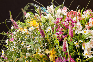 Similar image 2189505