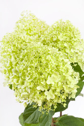 Similar image 2189522