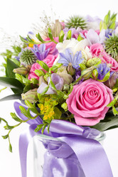 Similar image 2189524