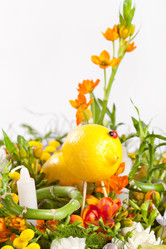 Similar image 2189526