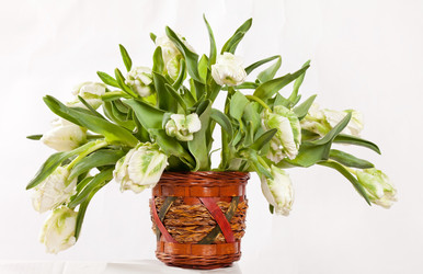 Similar image 2189527