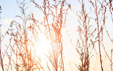 Similar image 2189532