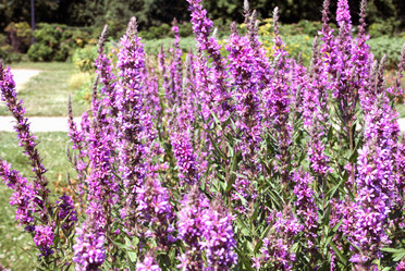 Similar image 2189547