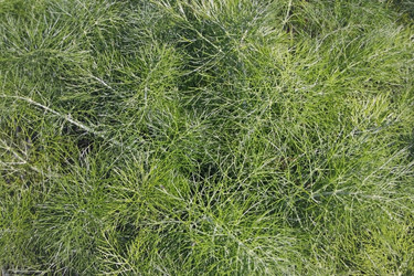 Similar image 2189549