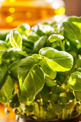 Similar image 2189560