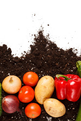 Similar image 2189601