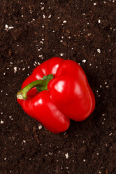 Similar image 2189607