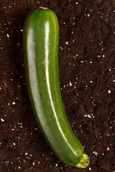 Similar image 2189610