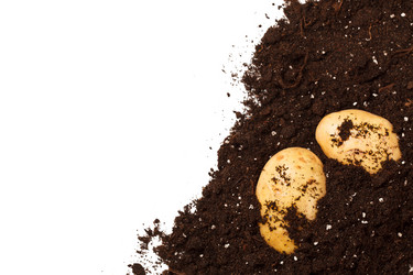 Similar image 2189611