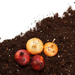 Similar image 2189613