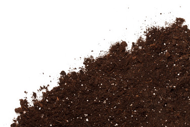 Similar image 2189614