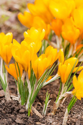 Similar image 2189628