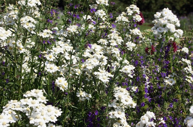 Similar image 2189643