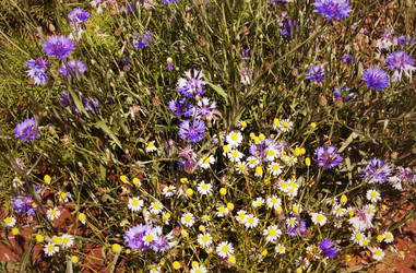 Similar image 2189645