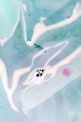 Similar image 2189670