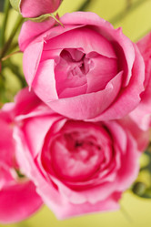 Similar image 2189720