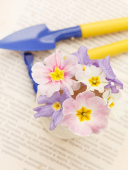 Similar image 2189754