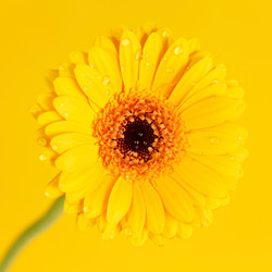 Similar image 2189758