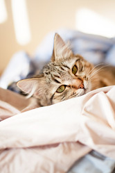 Similar image 2189759