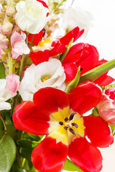 Similar image 2189762