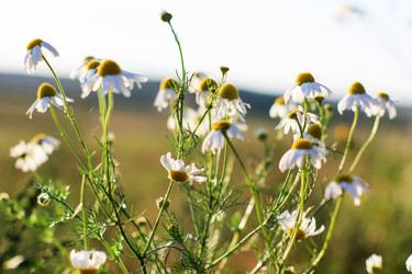 Similar image 2189767