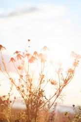 Similar image 2189768