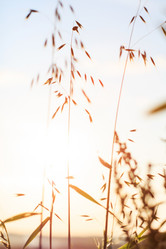 Similar image 2189769