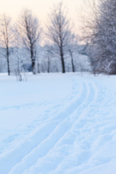 Similar image 2189960