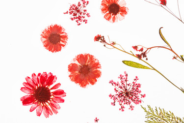 Similar image 2189963