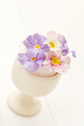 Similar image 2189979