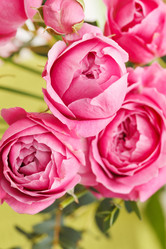 Similar image 2189996