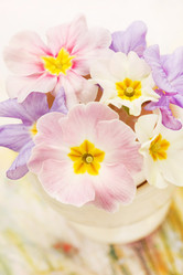 Similar image 2190004