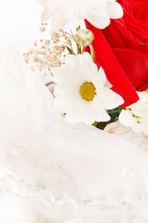 Similar image 2190009