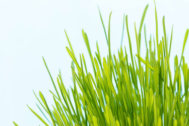 Similar image 2190048