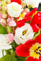 Similar image 2190052