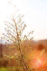 Similar image 2190065