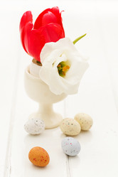 Similar image 2190078