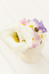 Similar image 2190103