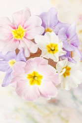 Similar image 2190104