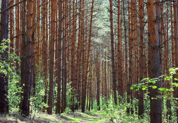 Similar image 2190144