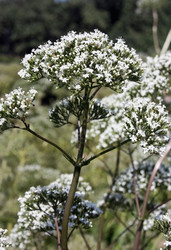 Similar image 2190148