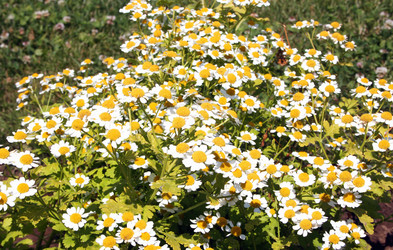 Similar image 2190151