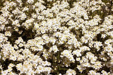 Similar image 2190158